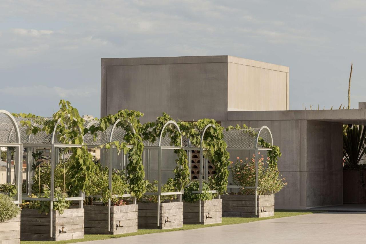 The Calile Hotel Brisbane Eksteriør bilde The winery at H.L. Stubb's vineyard